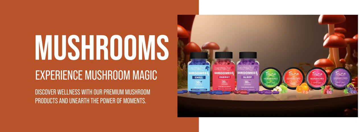 Mushroom Nootropics
