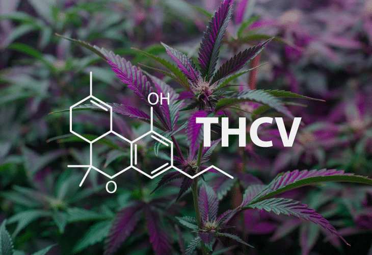 Strains High in THCV