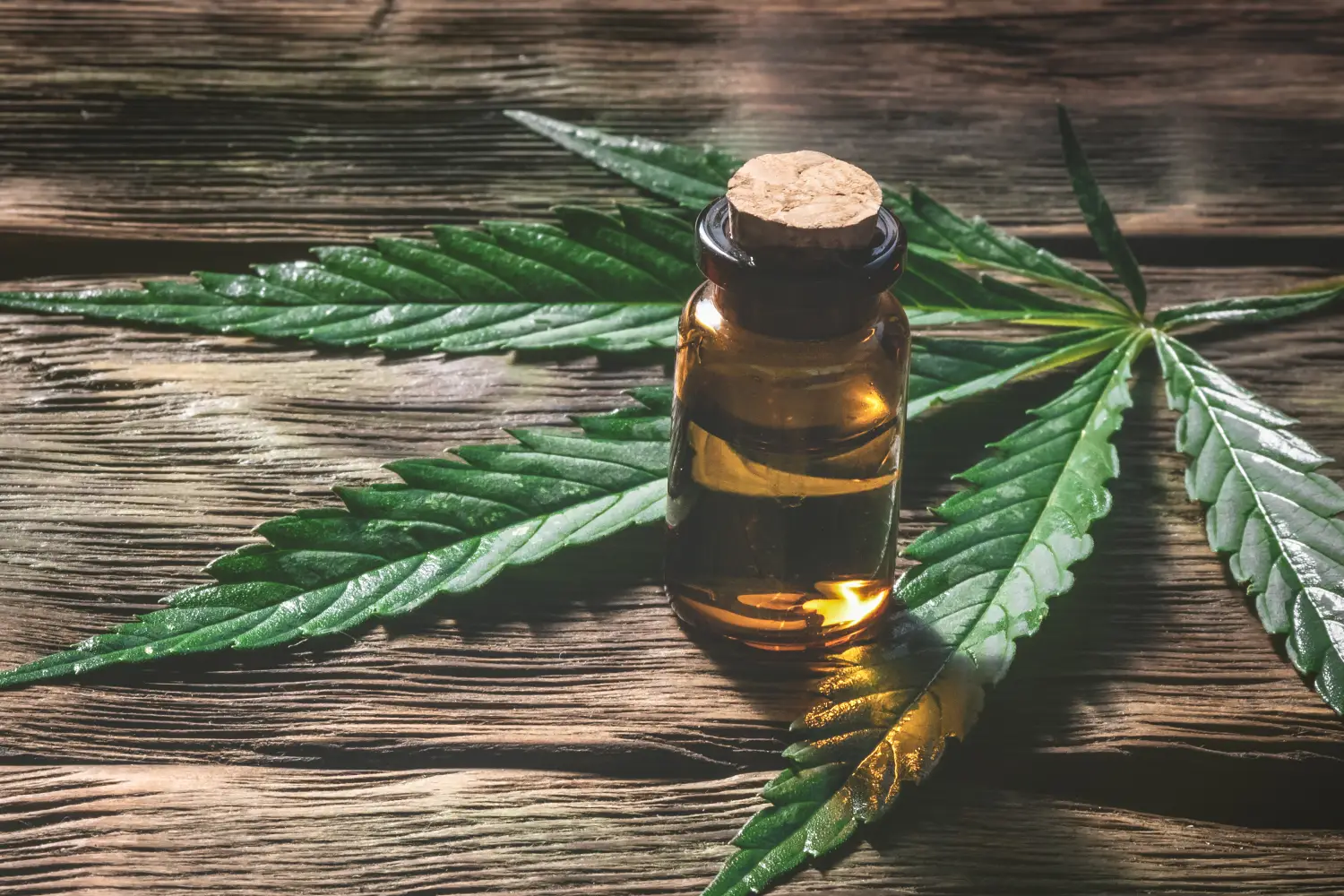 Nano CBD