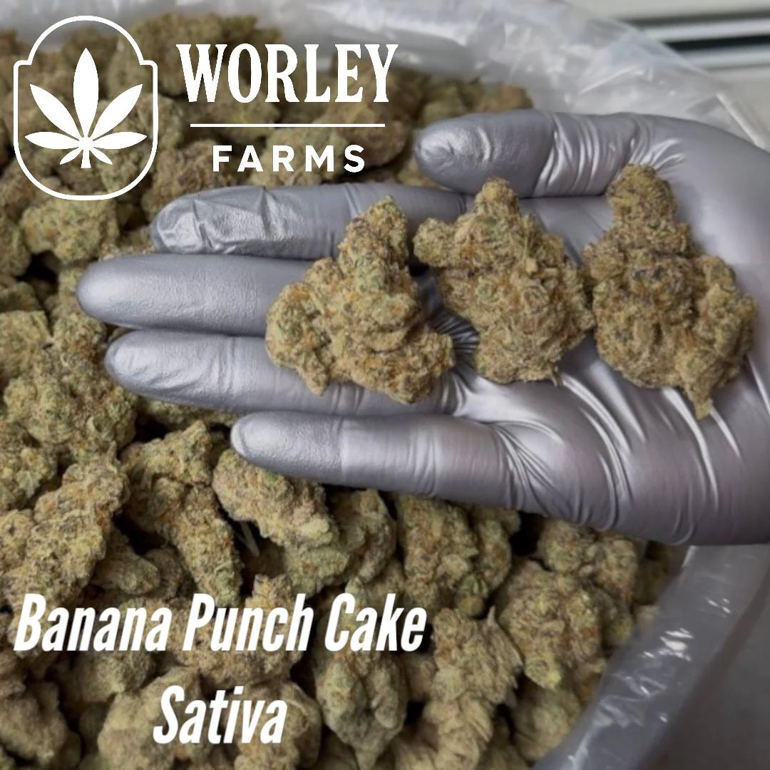 Bulk Banana Punch THCA