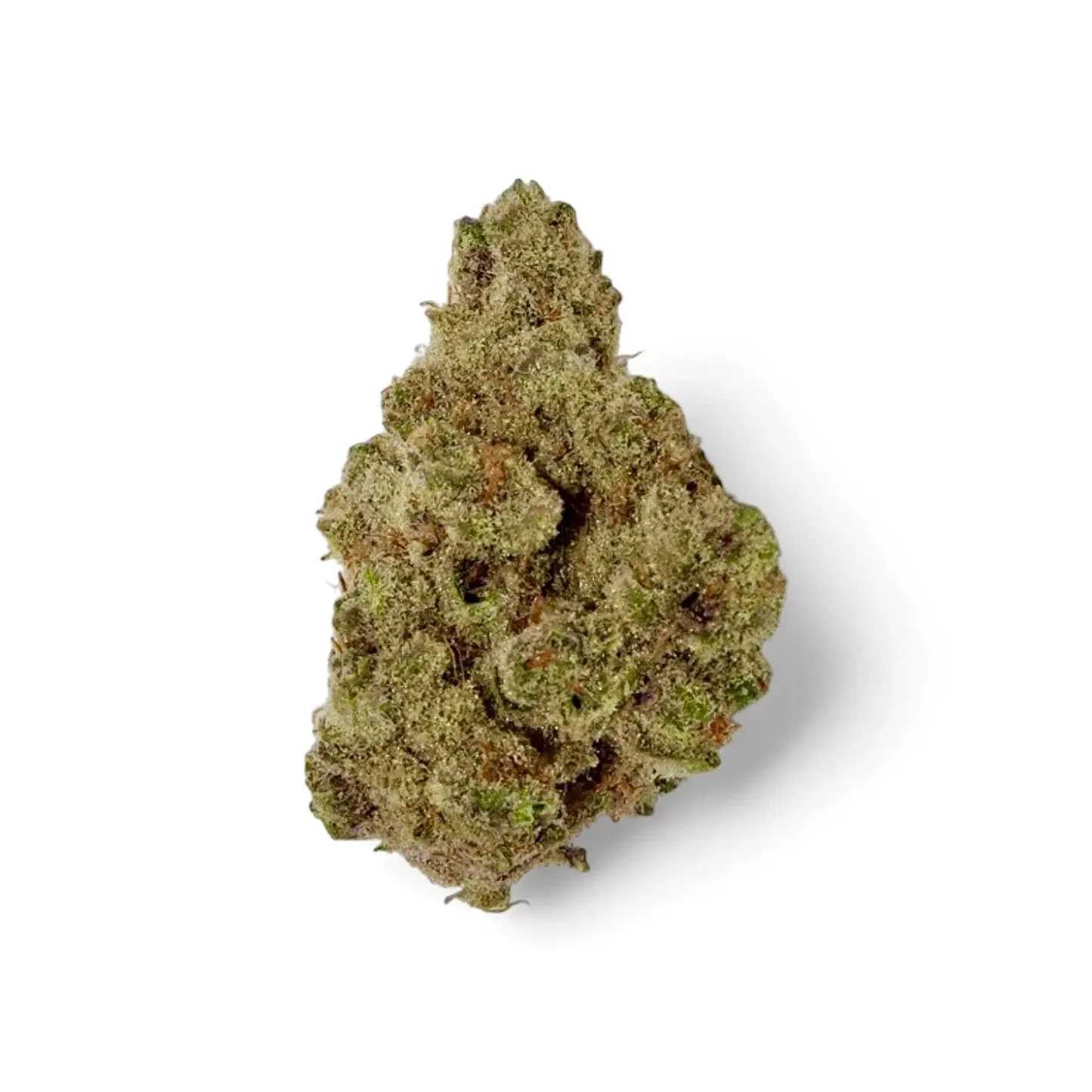 Poppin Bottlez Strain