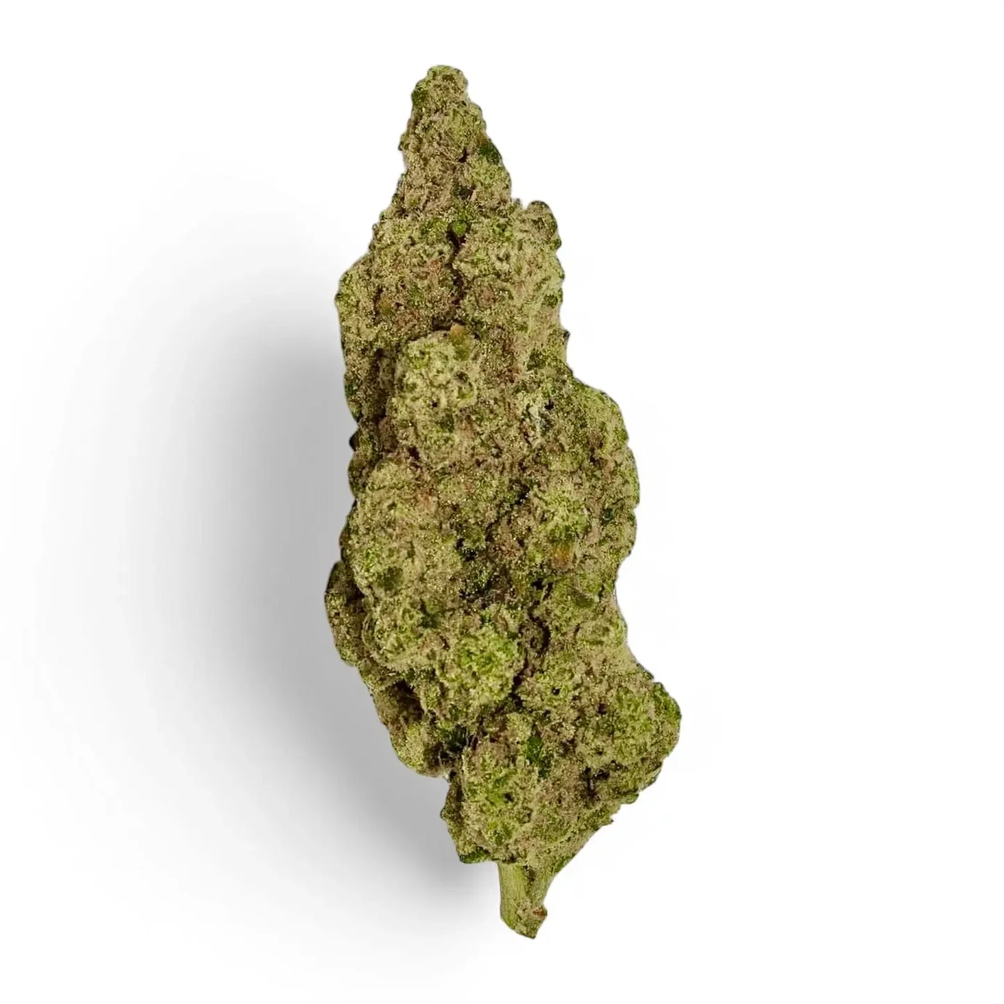 Modified Banana Strain
