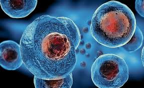 Stem Cell Therapy Michigan